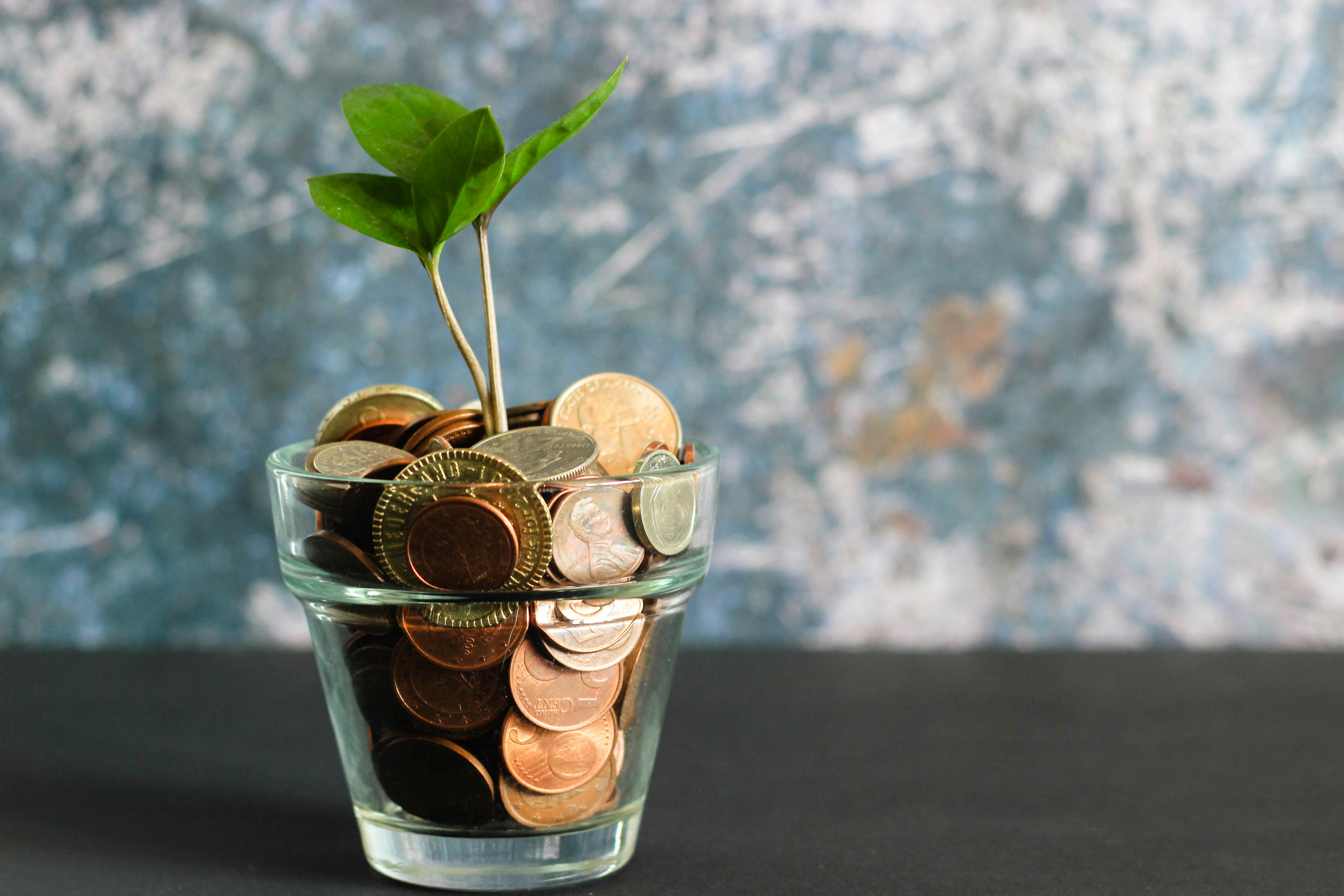 Money Insurance